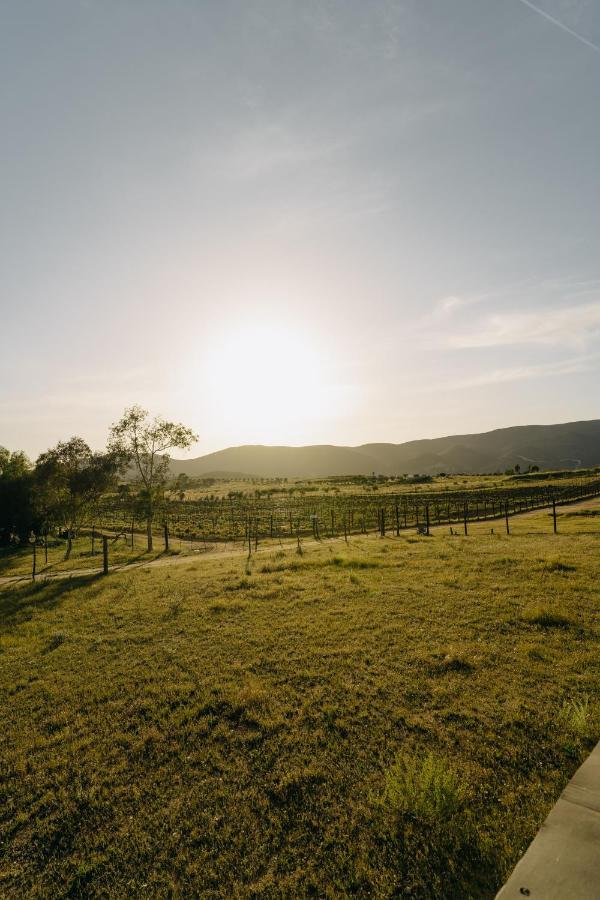 Casa Primavera/ Valle De Guadalupe Zewnętrze zdjęcie